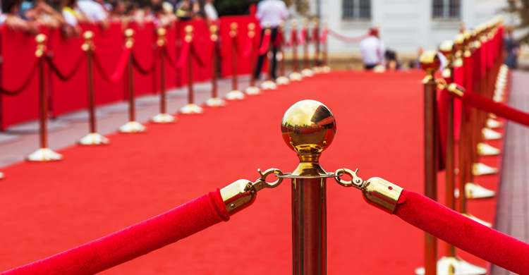 Red Carpet Event Security